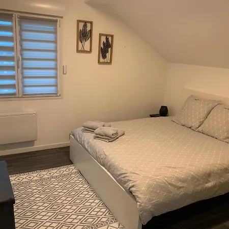 Coquet Appartement Aux Pieds Des Montagnes Scionzier Exterior foto