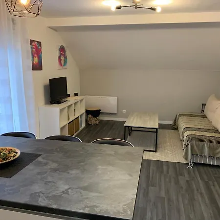 Coquet Appartement Aux Pieds Des Montagnes Scionzier Exterior foto